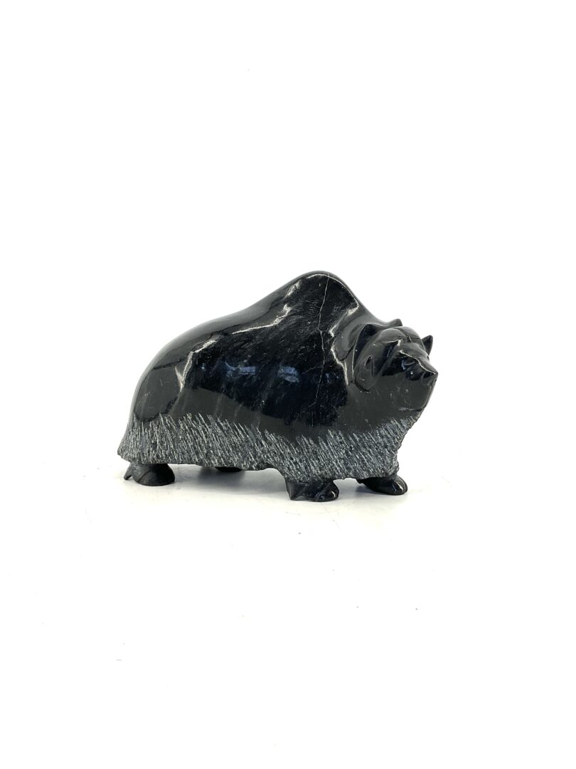 One original Inuit art muskox sculpture hand carved out of serpentine stone by Pudlalik Shaa.One original Inuit art muskox sculpture hand carved out of serpentine stone by Pudlalik Shaa.