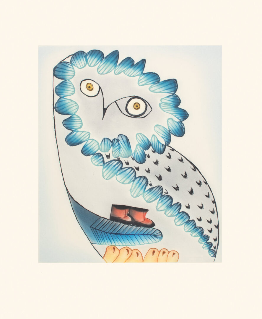 original inuit print owl from cape dorset, Nunavut