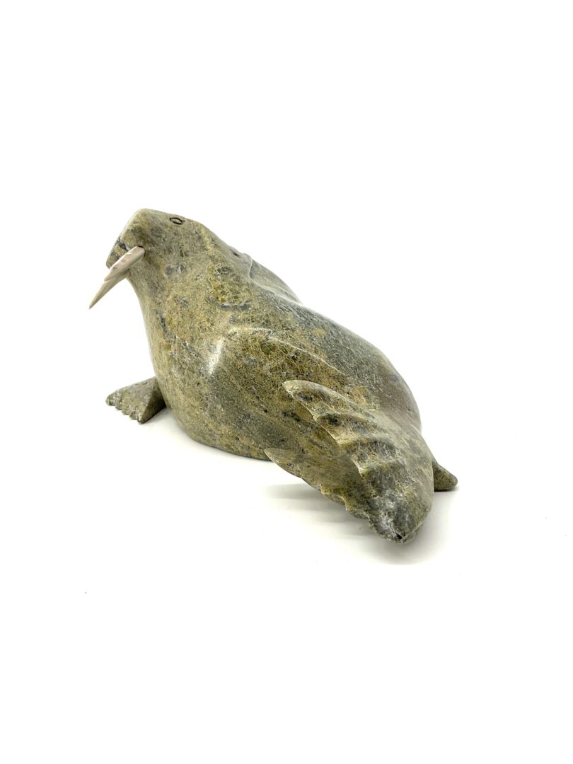 One original hand-carved sculpture by Kelly Etidlui from Cape Dorset, Nunavut. One walrus made out of serpentine and caribou antler.