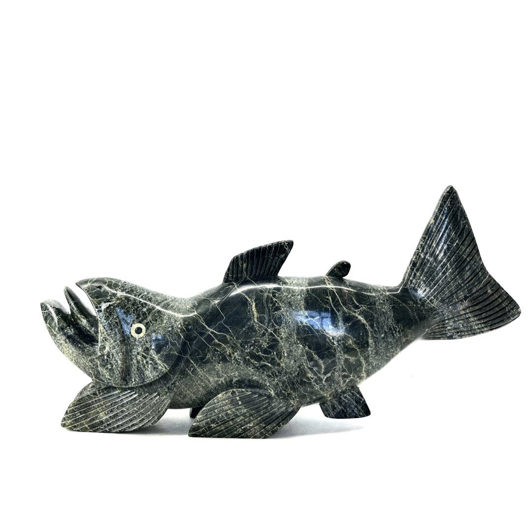 One original hand-carved sculpture by Inuit artist, Toonoo Sharky. One fish sculpture made out of serpentine.