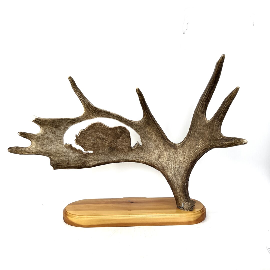 One original hand-carved musk-ox moose antler sculpture by Inuit artist Chuck Ratliff from Yellowknife.