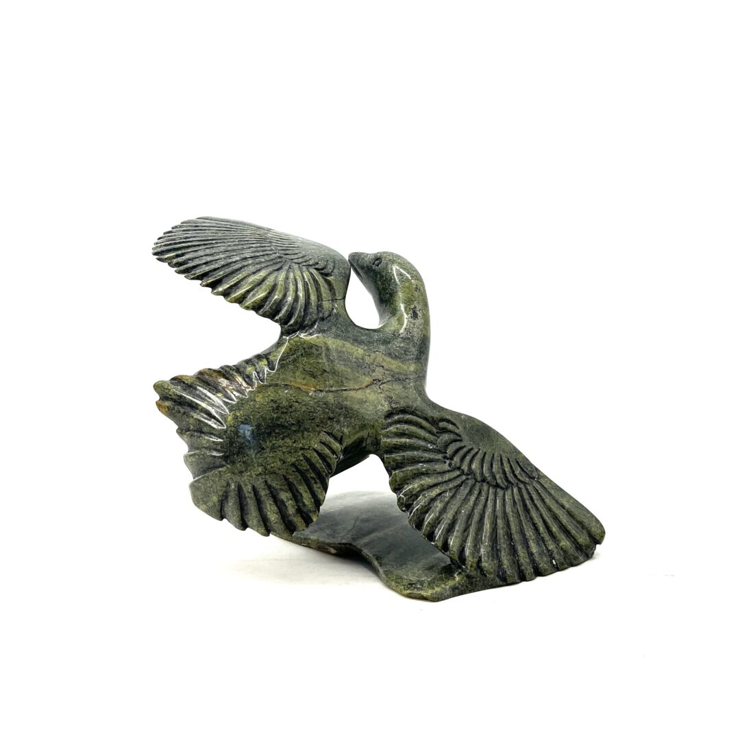 One original hand-carved sculpture by Inuit artist, Kelly Etidloie. One bird sculpture made out of serpentine.