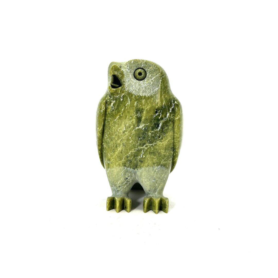One original hand-carved sculpture by Inuit artist, Pits Qimirpik. One owl sculpture carved out of serpentine.