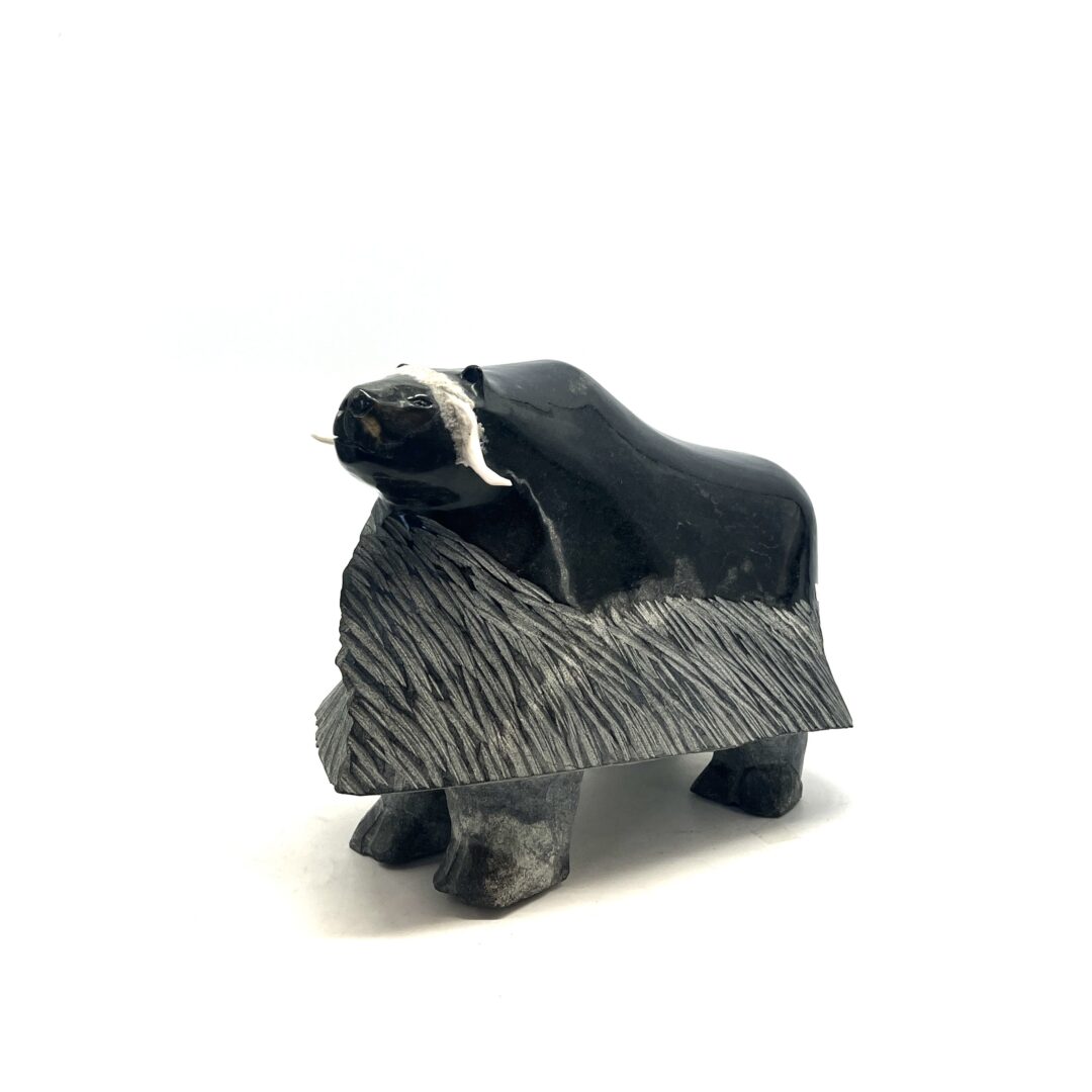 One original hand-carved sculpture by Inuit artist, Jaco Ishulutak. One musk ox sculpture carved out of serpentine.