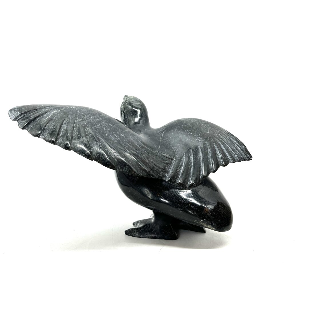 One original hand-carved sculpture by Inuit artist, Pudlalik Shaa. One bird sculpture carved out of serpentine.