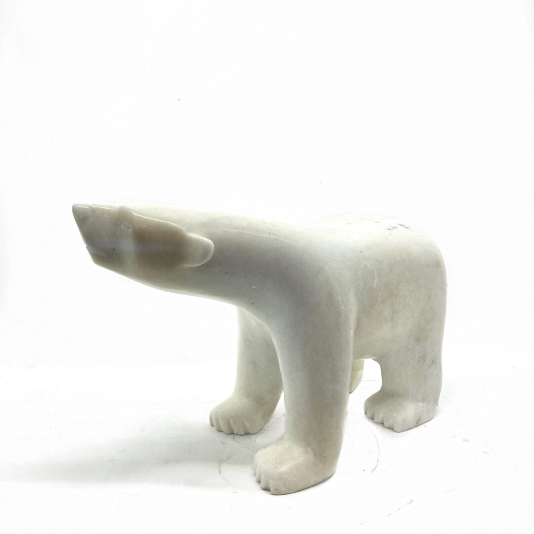 One original hand-carved sculpture by Inuit artist, Adamie Qaumagiaq. One walking bear carved out of white marble.