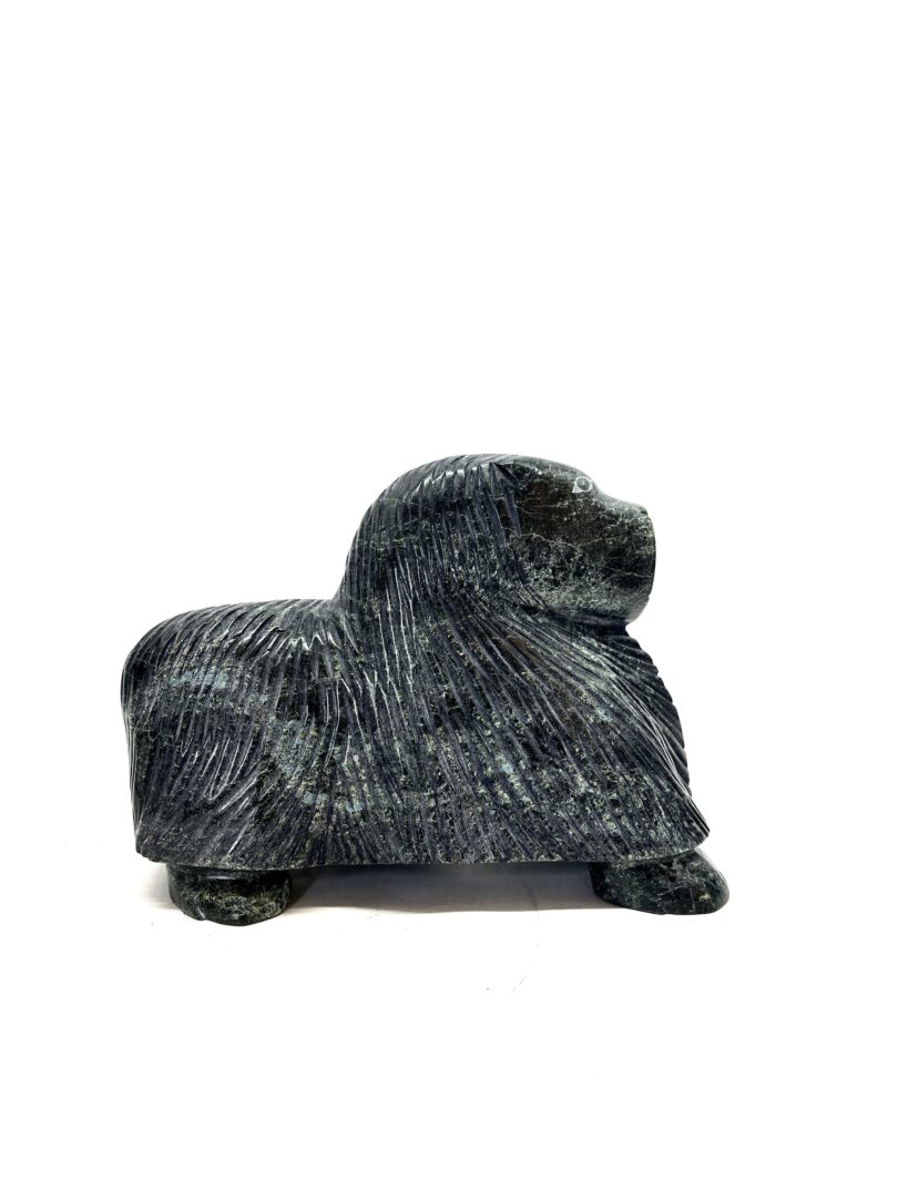 One original hand-carved sculpture by Inuit artist, Pitsulak Qimirpik. One muskox sculptured carved out of serpentine.