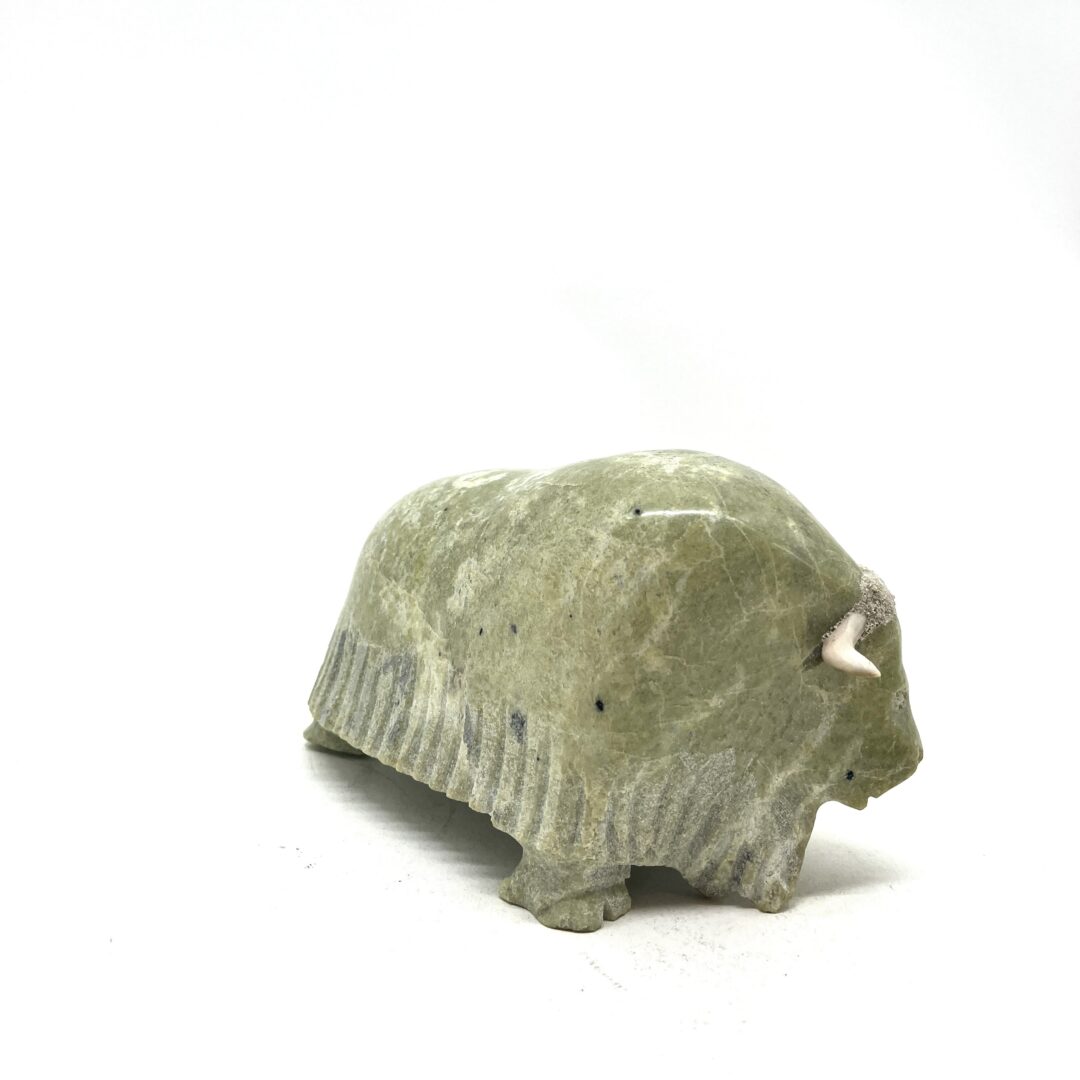 One original hand-carved sculpture by Inuit artist, Willie Kolola. One musk-ox sculpture carved out of serpentine.