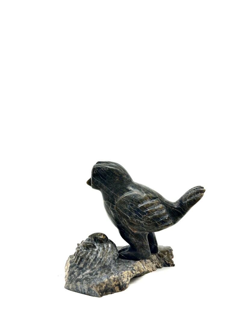 One original hand-carved sculpture by Inuit artist, Pits Qimirpik. One bird with its nest carved out of serpentine.