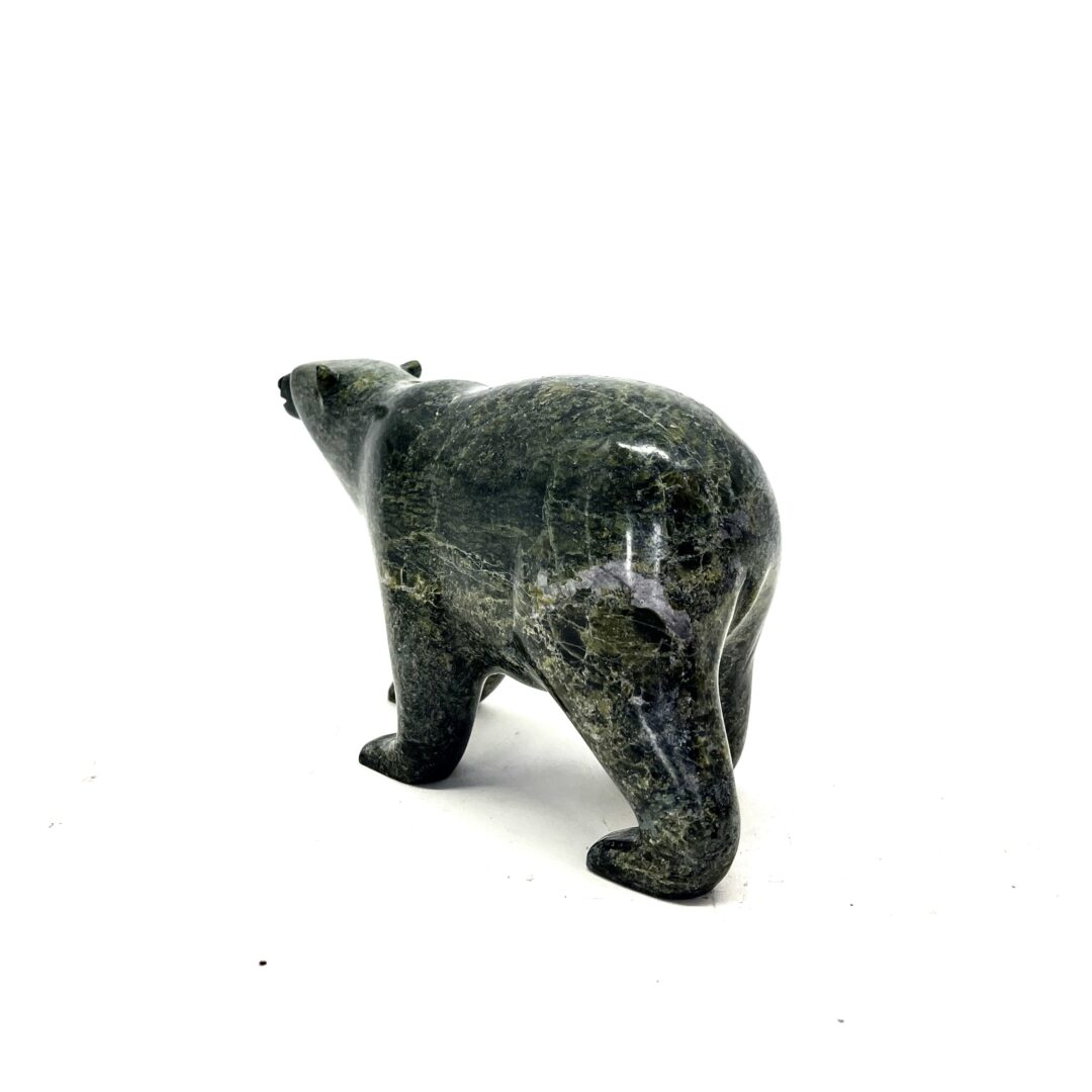 One original hand-carved sculpture by Inuit artist, Tim Pee. One walking bear sculpture carved out of serpentine.