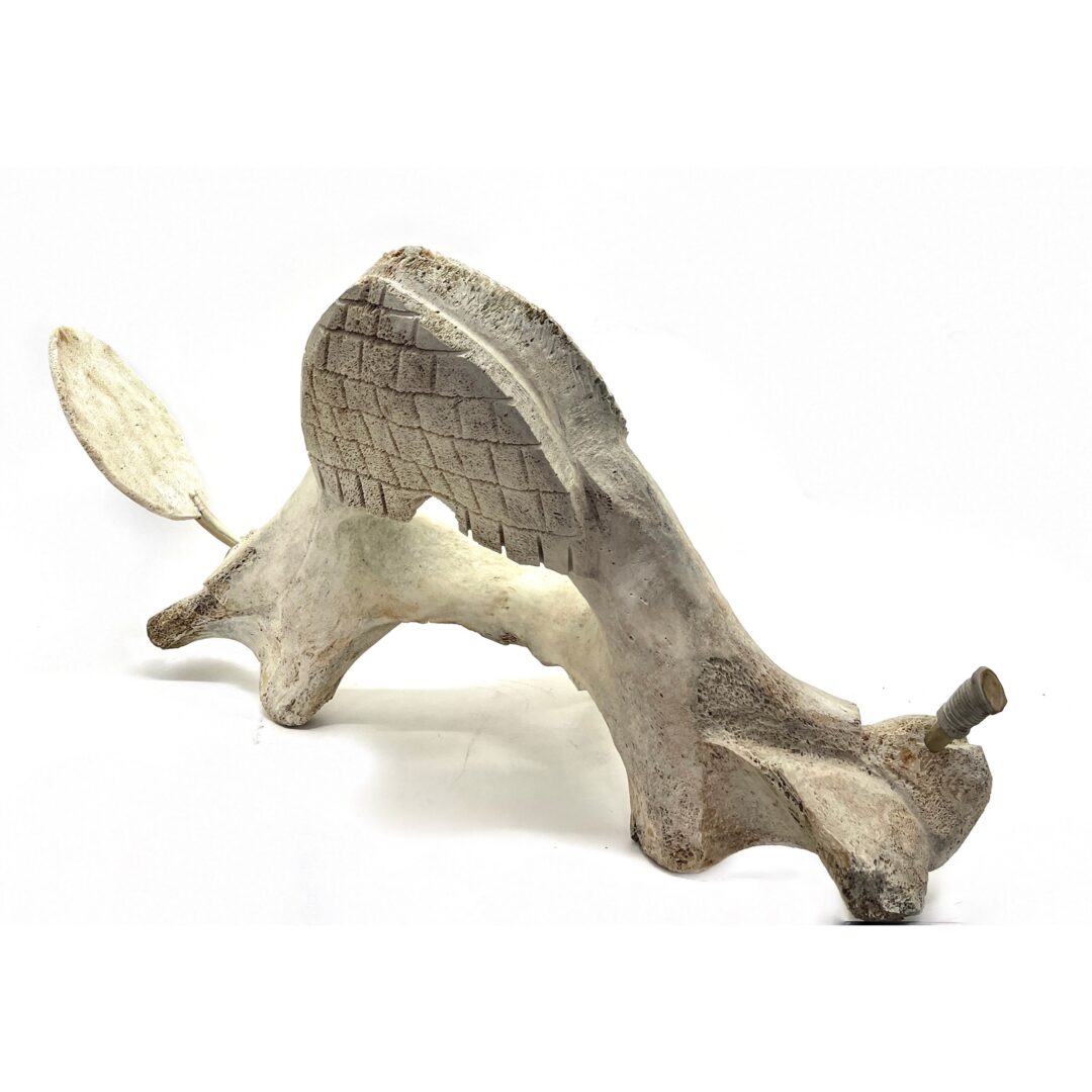 One original hand-carved sculpture by Inuit artist Jaco Ishulutak. One drum dancer carved out of fossilized whale bone.