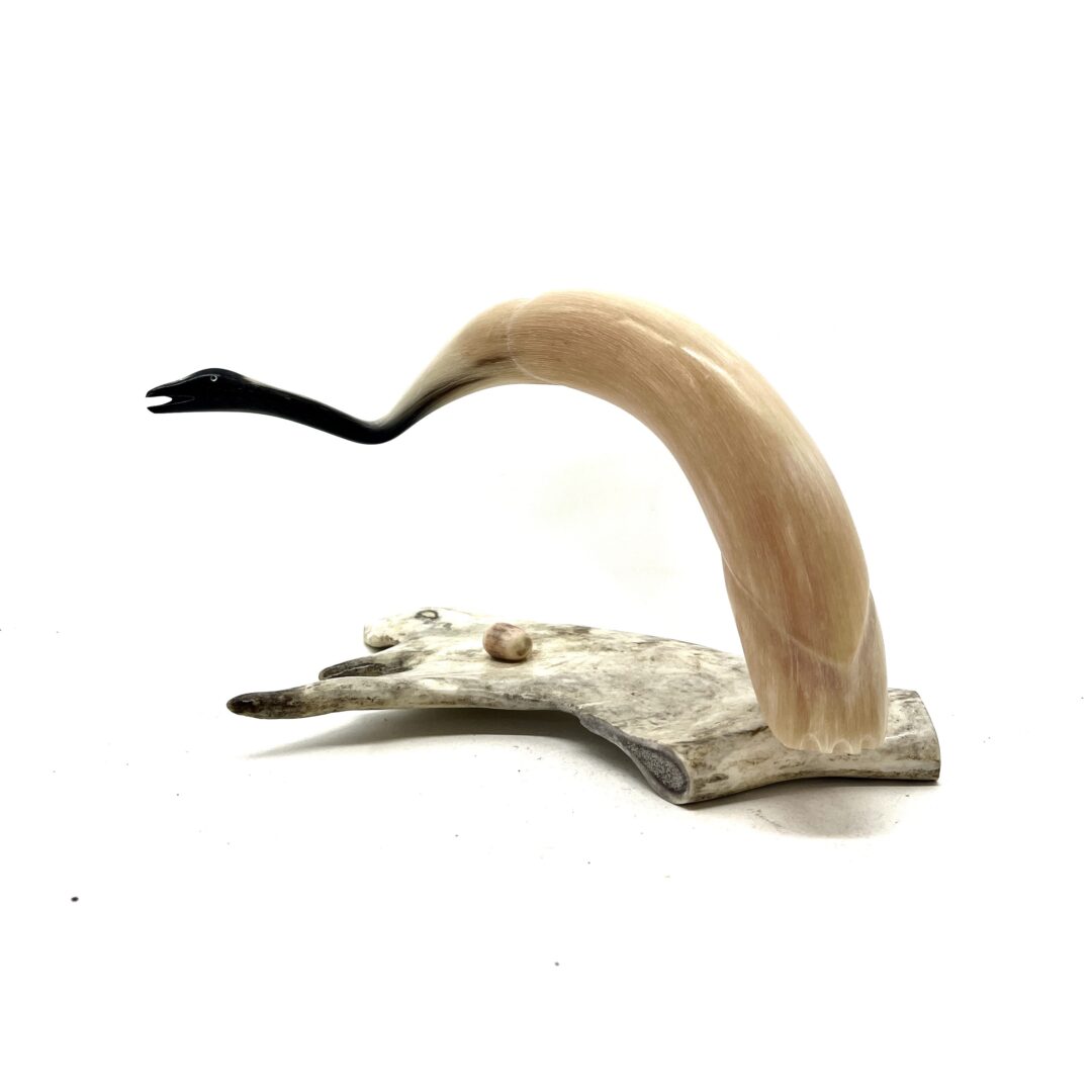 One original hand-carved sculpture by Inuit artist, Buddy Nutik. One bird sculpture carved out of muskox horn.