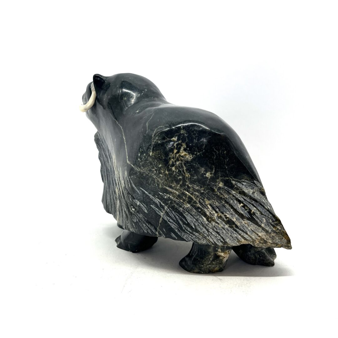 One original hand-carved sculpture by Inuit artist, Pitsulak Michael. One musk ox carved out of serpentine.