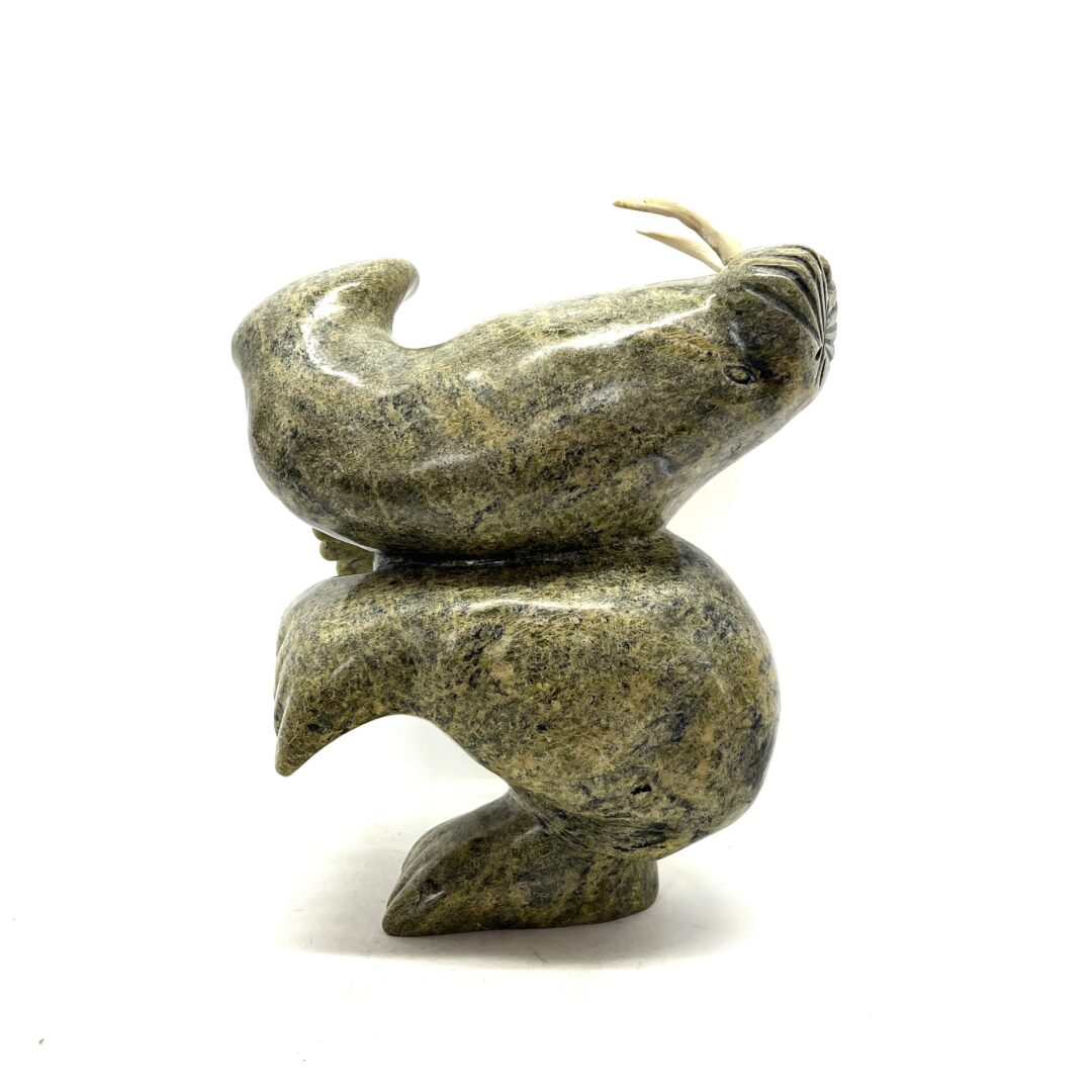 One original hand-carved sculpture by Inuit artist, Axangayuk Shaa (RCA). One dancing walrus carved out of serpentine.