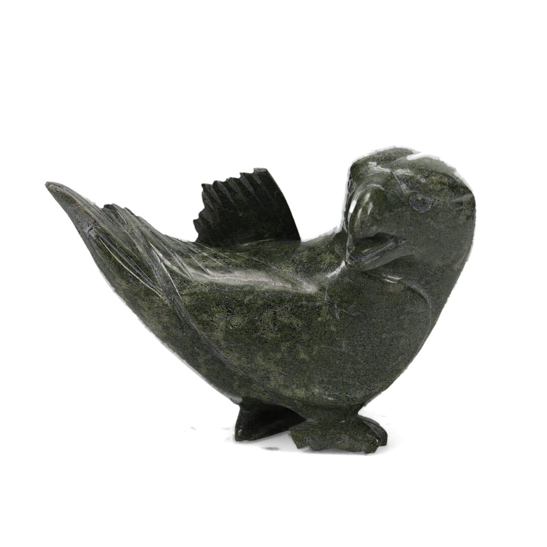 One original hand-carved sculpture by Inuit artist Ejesoak Pitsiulak. One raven carved out of serpentine stone.