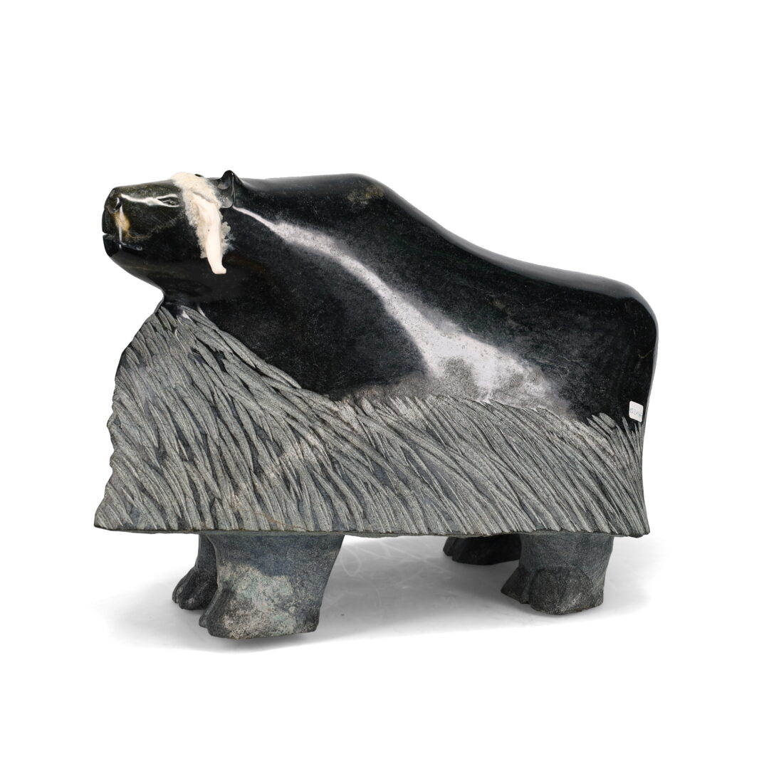 One original hand-carved sculpture by Inuit artist, Kelly Etidloie. One musk-ox carved out of serpentine and antler.