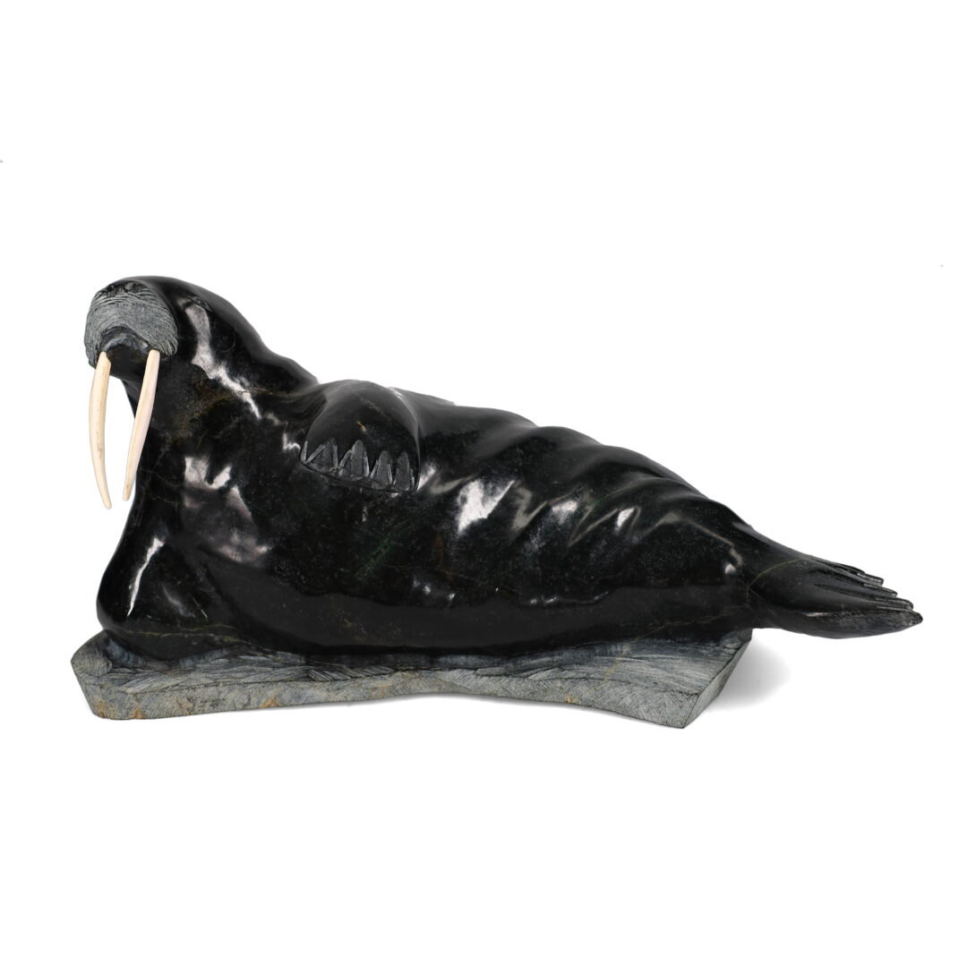 One original hand-carved sculpture by Inuit artist, Jaco Ishulutak. One walrus carved out of serpentine and antler.