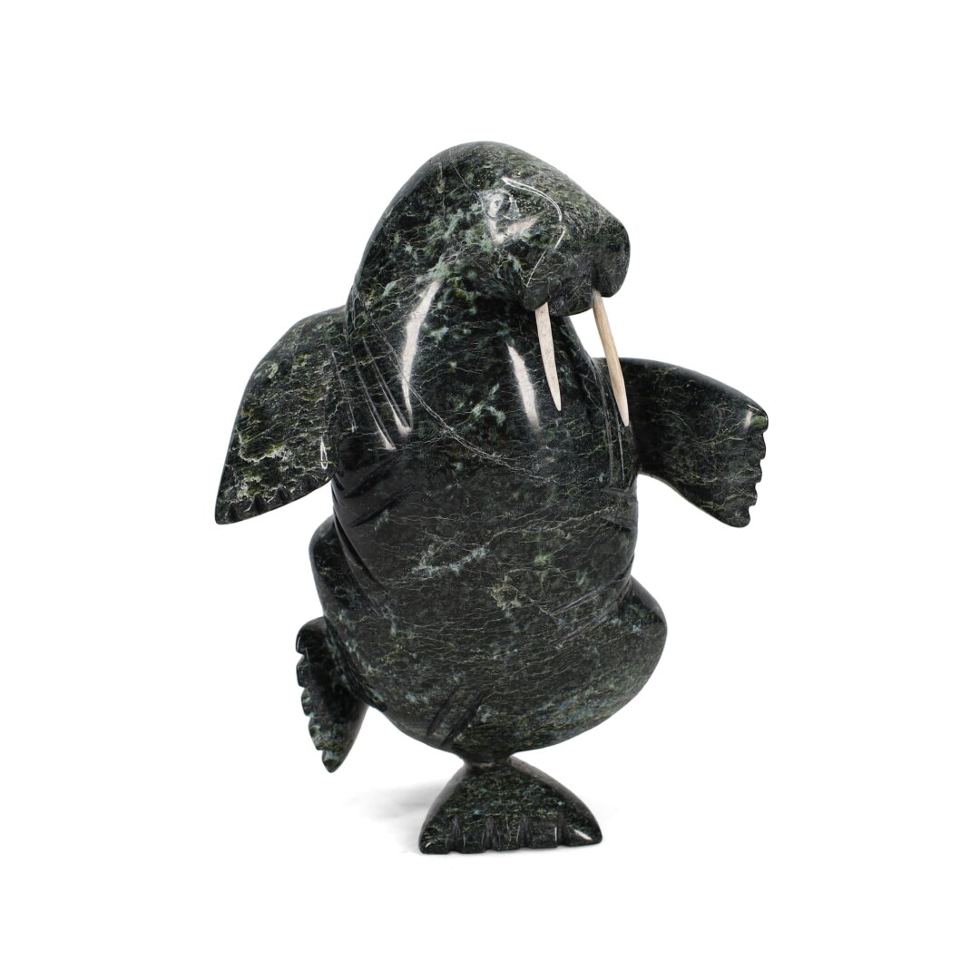 One original hand-carved sculpture by Inuit artist, Pitsulak Qimirpik. One dancing walrus carved out of serpentine.