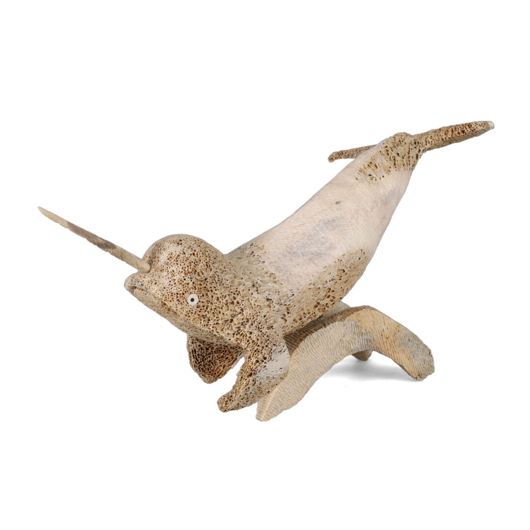 One original hand-carved sculpture by Inuit artist, Daniel Shimout. One narwhal carved out of fossilized whale bone.