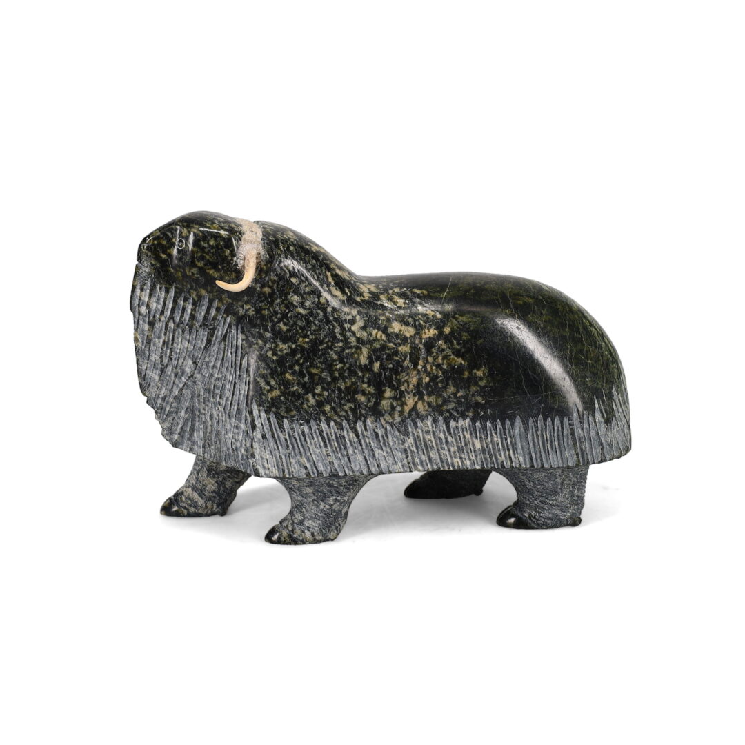 One original hand-carved sculpture by Inuit artist, Ooloosie Killiktee. One musk-ox carved out of serpentine.