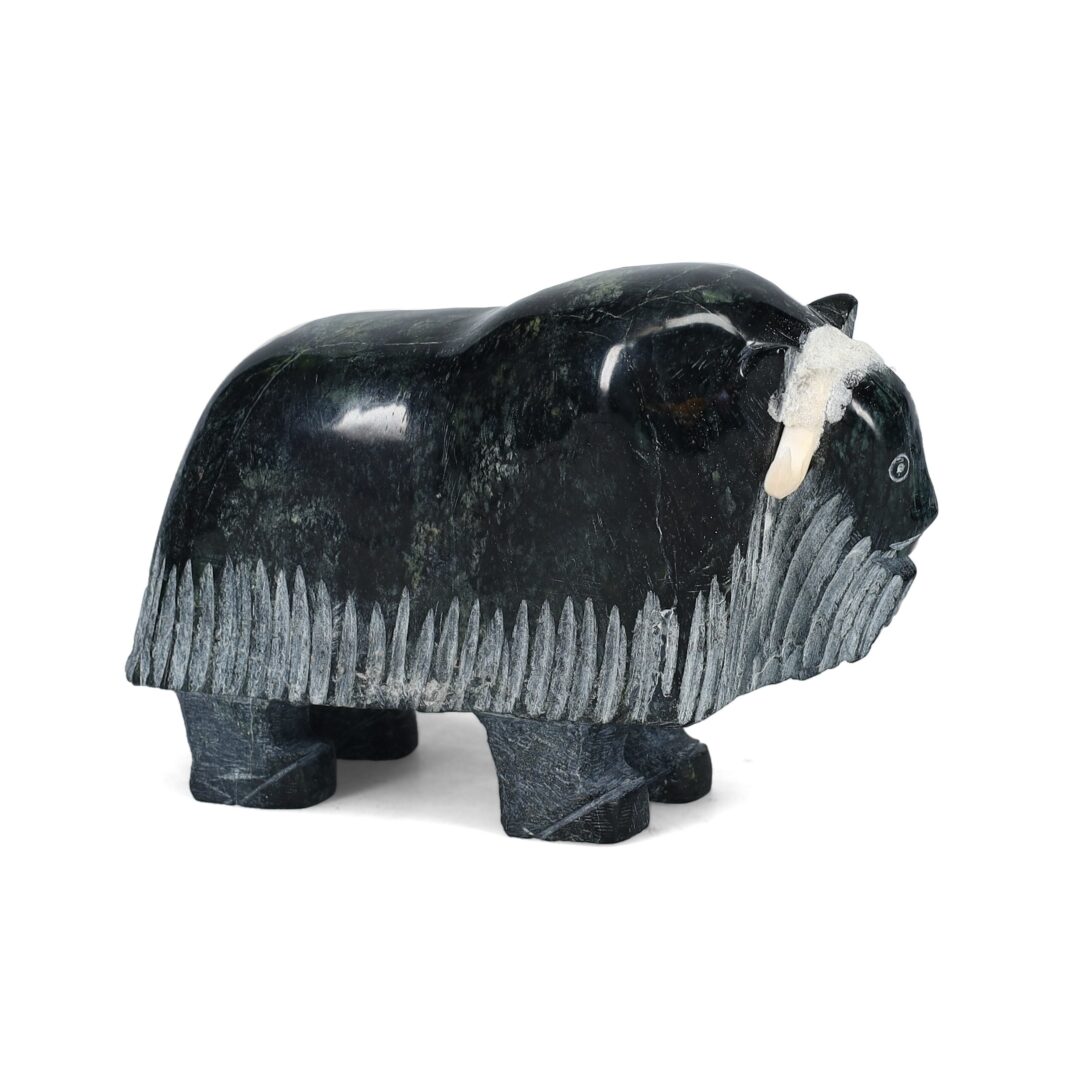 One original hand-carved sculpture by Inuit artist, Simeonie Killiktee. One muskox carved out of serpentine.