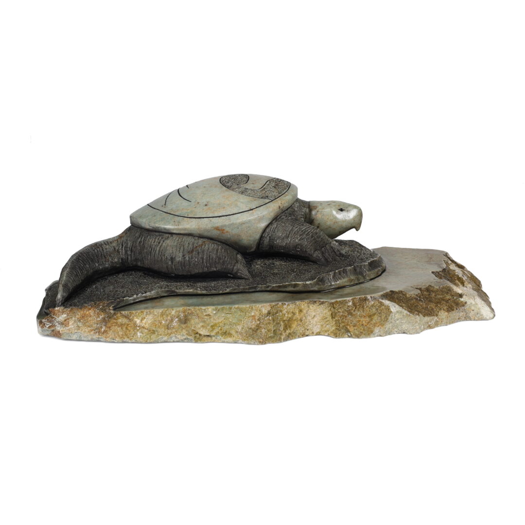 One original hand-carved sculpture by Iroquois artist, Landon Henry. One river turtle carved out of soapstone.