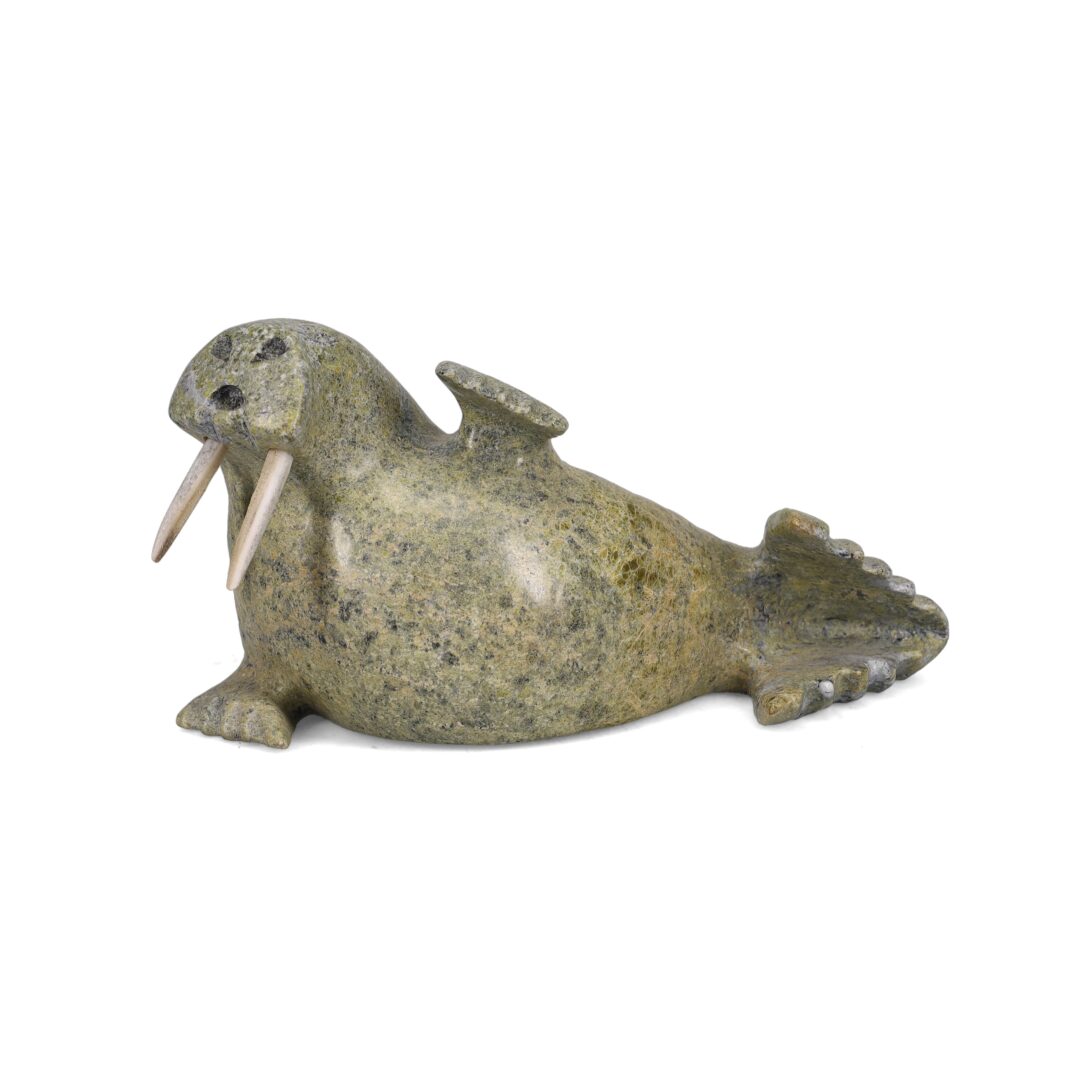 One original hand-carved sculpture by Inuit artist, Kelly Etidloie. One walrus carved out of serpentine and antler.