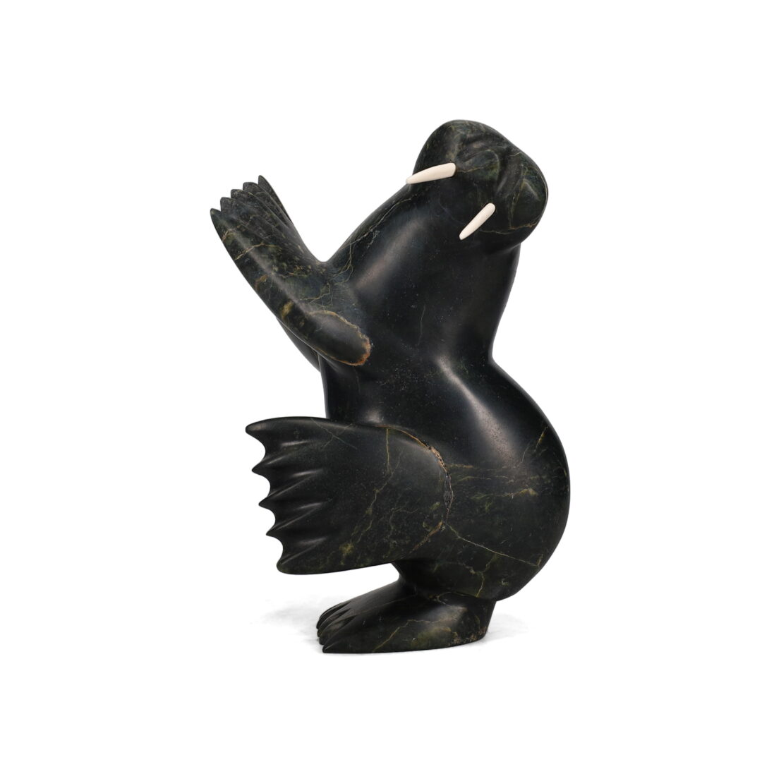 One original hand-carved sculpture by Inuit artist, Alariaq Shaa. One dancing walrus carved out of serpentine.