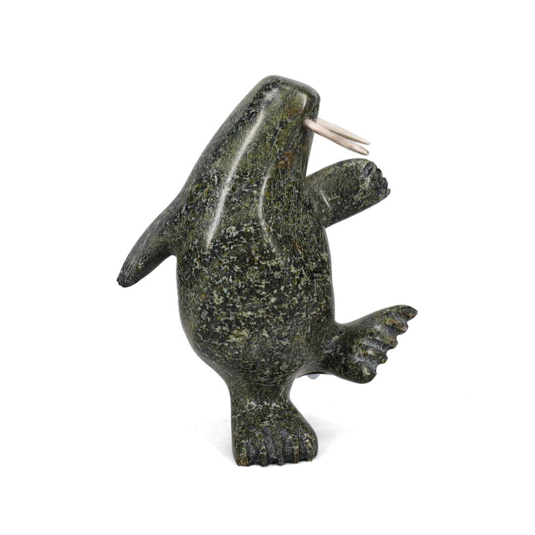 One original hand-carved sculpture by Inuit artist, Kakee Ningeosiak. One dancing walrus carved out of serpentine.